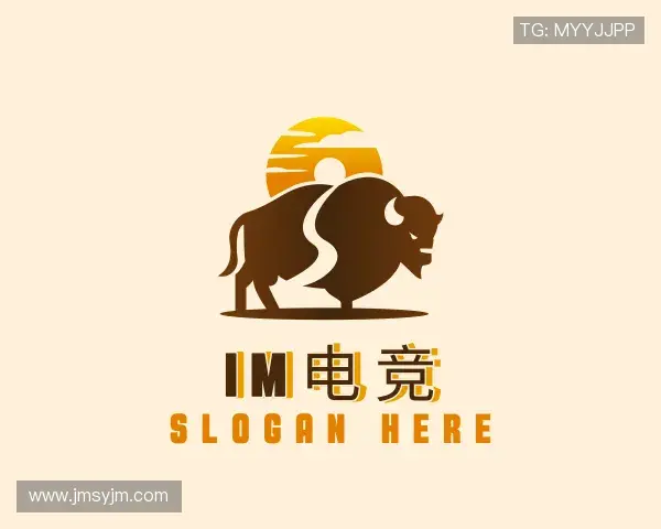了解IM电竞